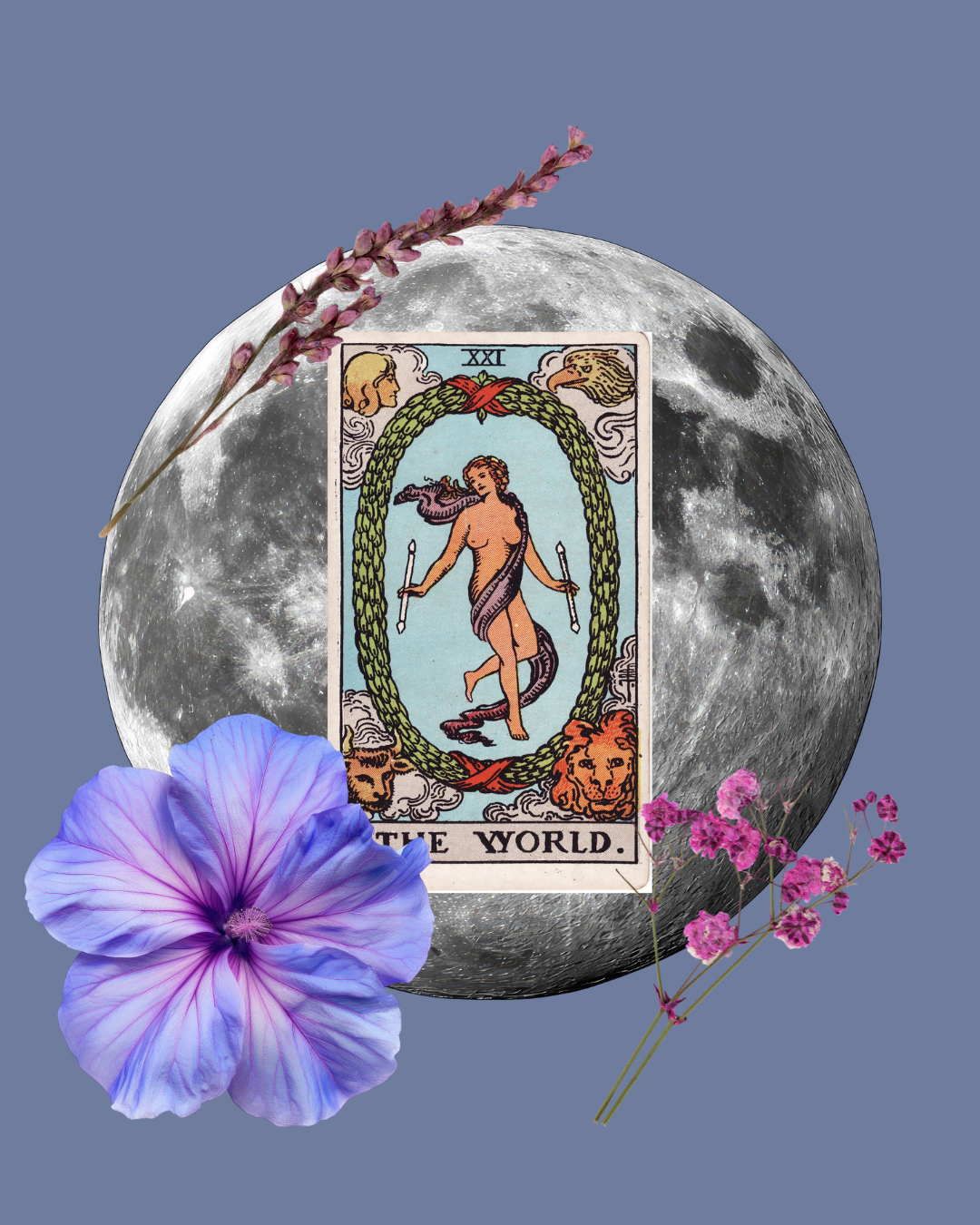 1 Hour in-depth Tarot Reading
