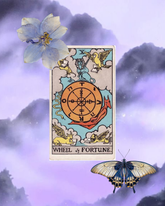 1 Hour in-depth Tarot Reading ✴ in-person ✴